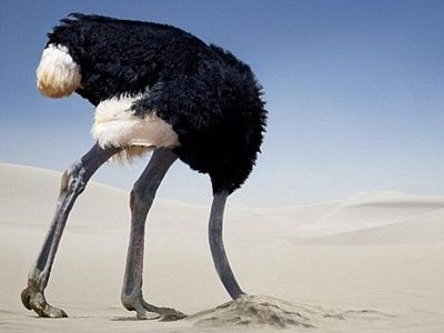 Страус Страус
